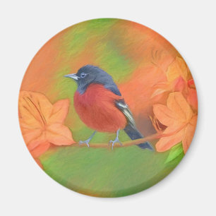 Imã Orchard Oriole Songbird Pintura Original