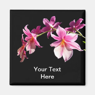 Imã Orchid. cor-de-rosa