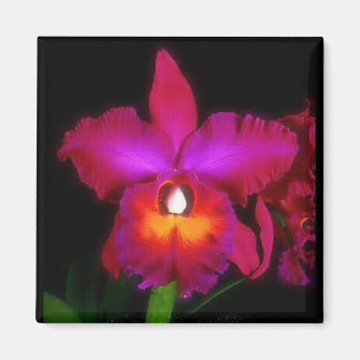 Imã Orchid Dream Magnet