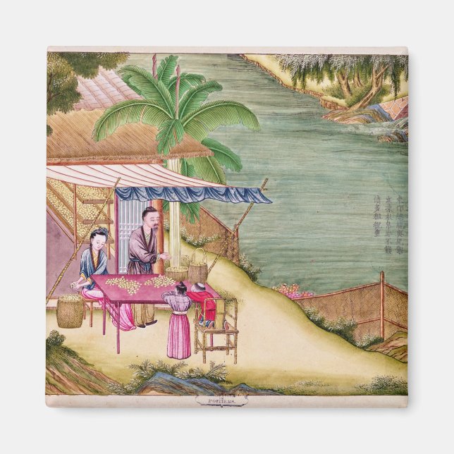 Imã Ordenando os casulos (Frente)