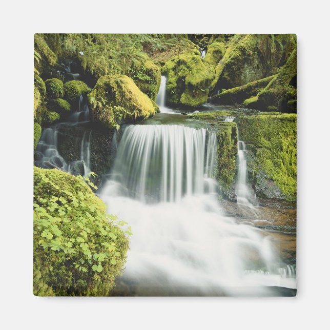 Imã Oregon, Cachoeira no parque nacional Willamette (Frente)