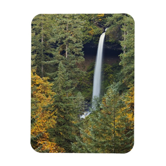 Ímã Oregon, Parque Estadual Silver Falls, North Falls (Vertical)