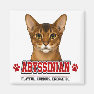 Imã 🐾 Orgulho da Família do Dono de Gato Abissínio 🐾