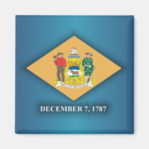 Imã Orgulho de Delaware