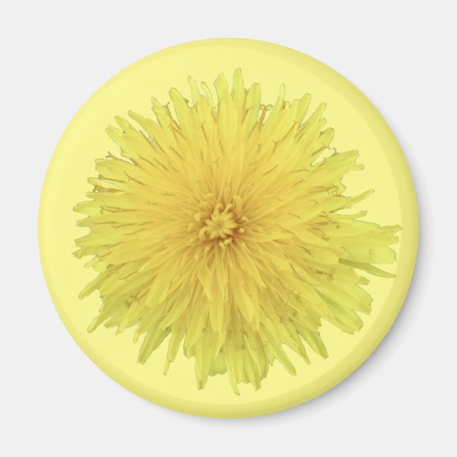 Imã Orgulhosa Flor Dandelion - transparente. (Frente)