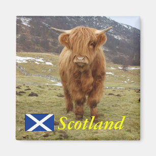 Imã Orgulhoso ser escocês!