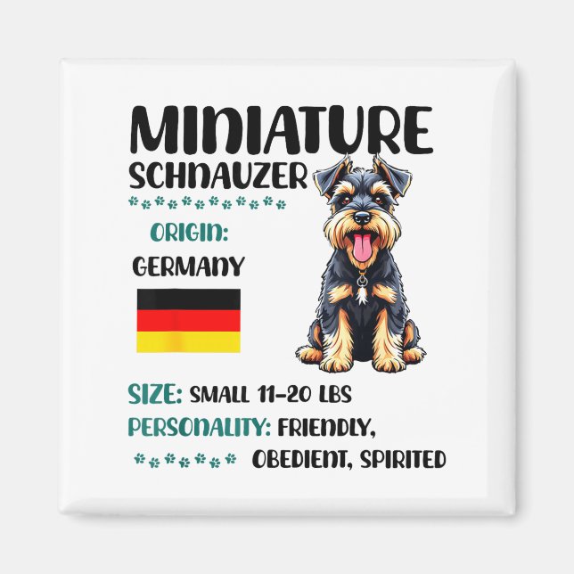 Imã Origem do Miniature Schnauzer Miniature Schnauzer  (Frente)