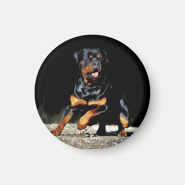 Imã Original Rottweiler Magnet (Frente)