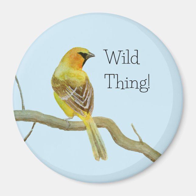 Imã Oriole Hooded (Frente)