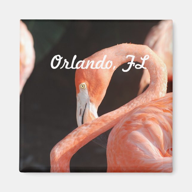 Imã Orlando (Frente)