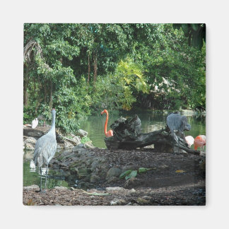 Imã Orlando Florida Magnet