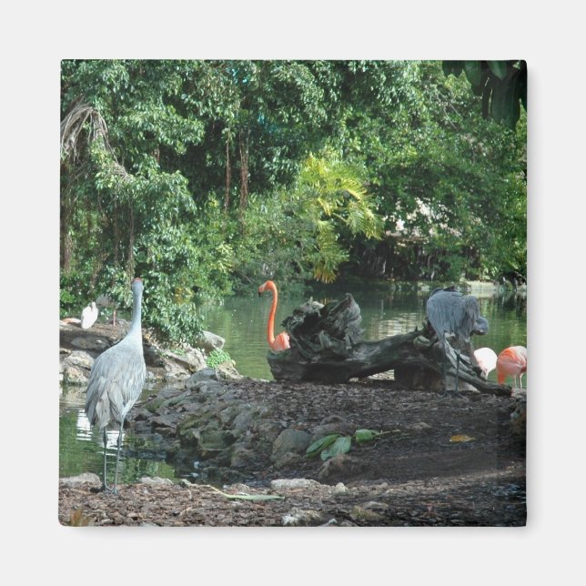 Imã Orlando Florida Magnet (Frente)