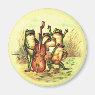 Imã Orquestra de Bandas de músicos do Sapo Vintage co