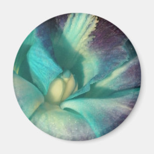 Imã Orquídea azul e roxa fecha