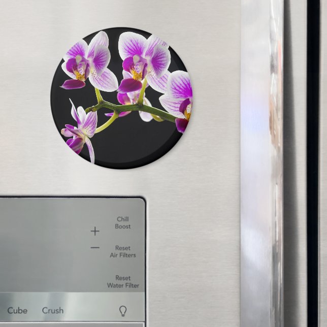 Imã Orquídea branca e roxa (In Situ (Fridge))
