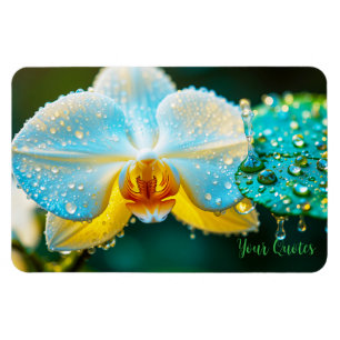Ímã Orquídea Branca Elegante com Gotículas de Água Bot