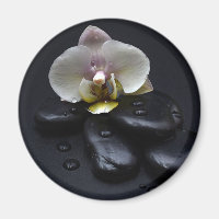 Orquídea Branca em Pedras Negras