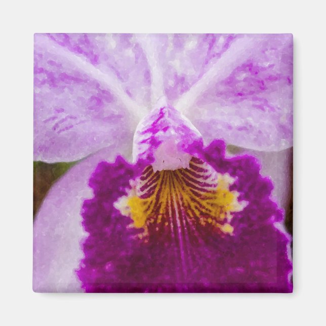 Imã Orquídea de Paixão Roxo (Frente)
