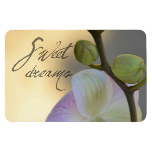 Ímã Orquídea de Sogni D'oro (sonhos doces)