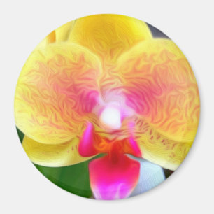 Imã Orquídea do ouro por ventilador de alimentação