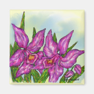 Imã Orquídea magnética
