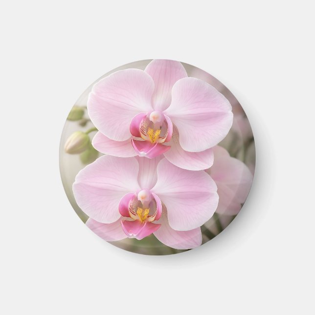 Imã Orquídea Phalaenopsis Rosa Suave (Frente)
