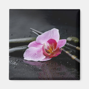 Imã Orquídea preta do zen