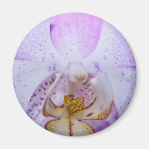 Imã Orquídea Rosa