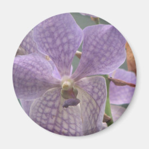Imã Orquídea roxa