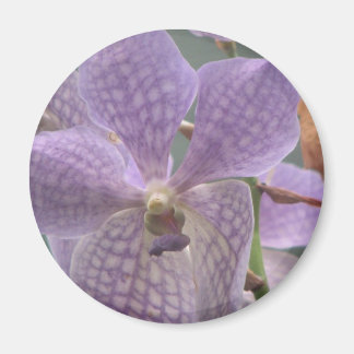 Imã Orquídea Roxa