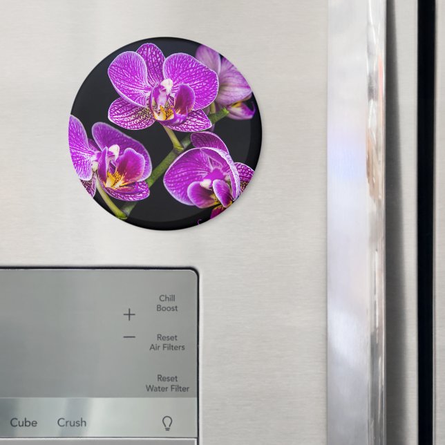 Imã Orquídea roxa (In Situ (Fridge))