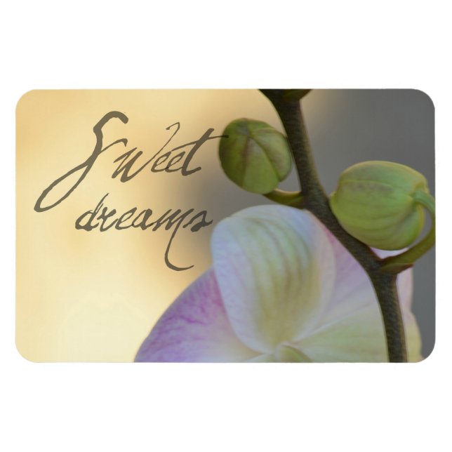Ímã Orquídea Sogni D'oro (Horizontal)