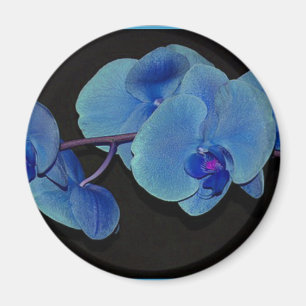 Imã Orquídeas