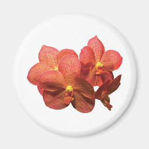 Imã Orquídeas alaranjadas manchadas