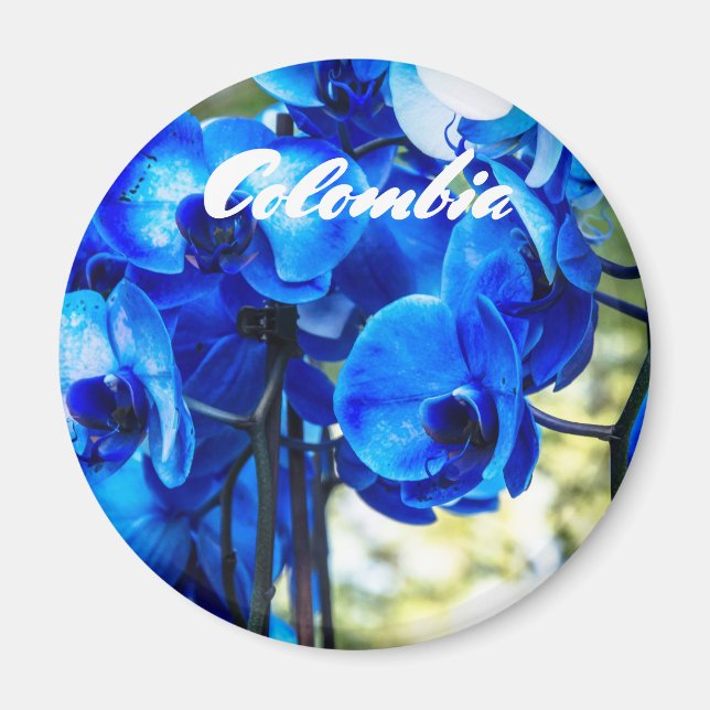 Imã Orquídeas azuis (Frente)