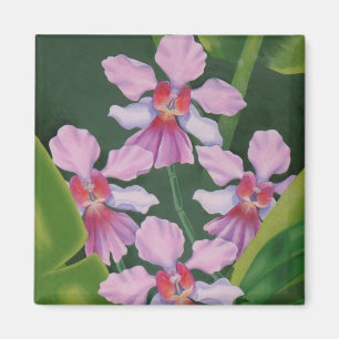 Imã Orquídeas cor-de-rosa