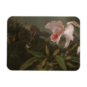 Ímã Orquídeas e colibris da selva