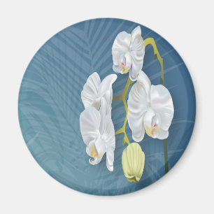 Imã Orquídeas e Ferns