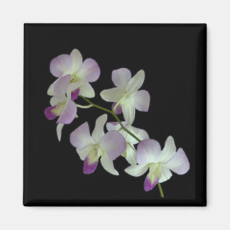 Imã Orquídeas em preto