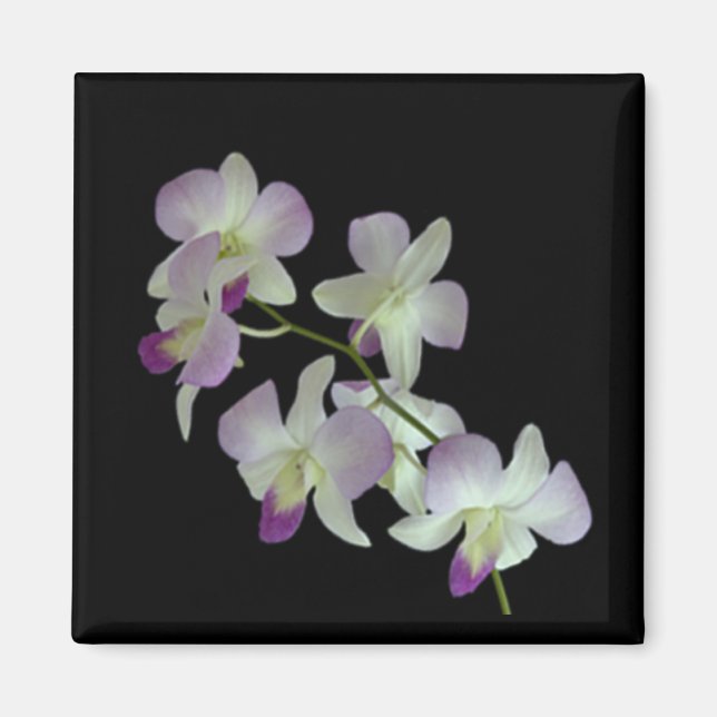 Imã Orquídeas em preto (Frente)