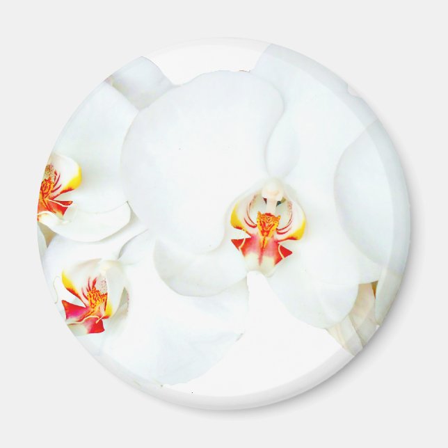 Imã Orquídeas Love (Frente)