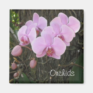 Imã Orquídeas Românticas