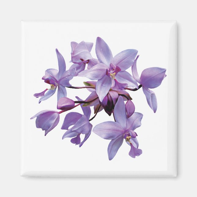 Imã Orquídeas roxas com masca (Frente)