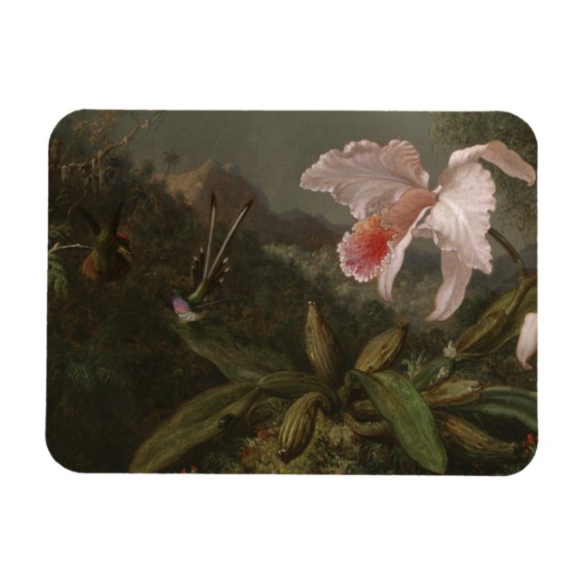 Ímã Orquídeas Selvagens e Aves Hummingaves (Horizontal)