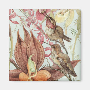 Imã Orquídeas Tropicais Antigas, Flores e Beija-flores