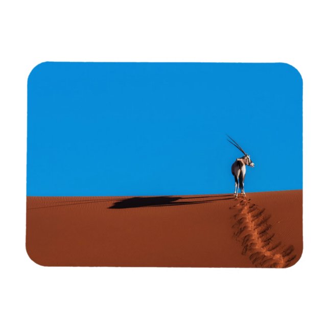 Ímã Oryx Antelope no Deserto Namib (Horizontal)