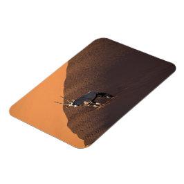 Ímã Oryx na borda, Namíbia