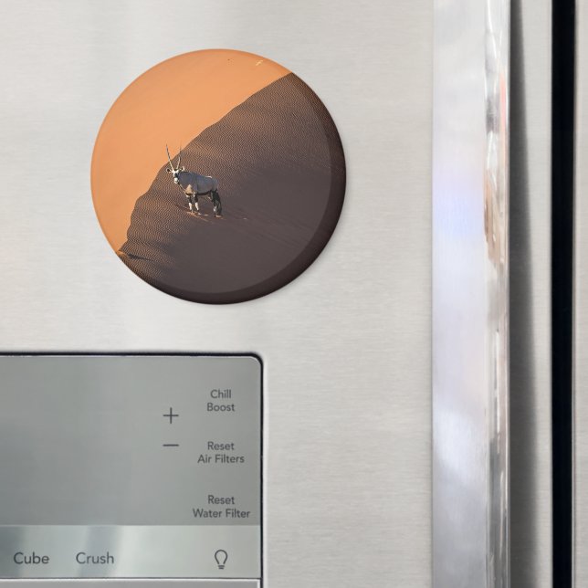 Imã Oryx na borda, Namíbia (In Situ (Fridge))