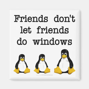 Imã Os amigos não deixam amigos fazem janelas