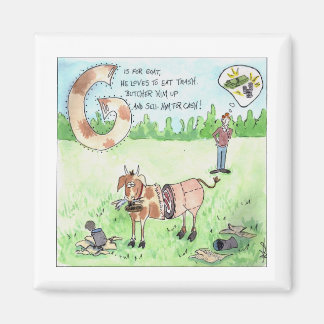 Imã Os Animais Estão Me Assustando